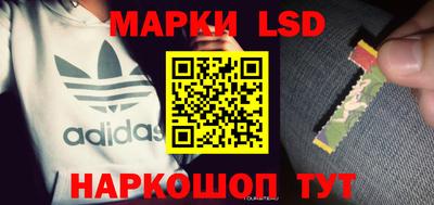 гидропоника Можга