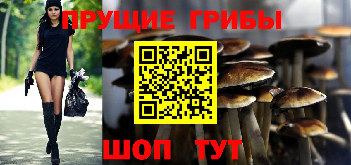 Галлюциногенные грибы MAGIC MUSHROOMS Вольск